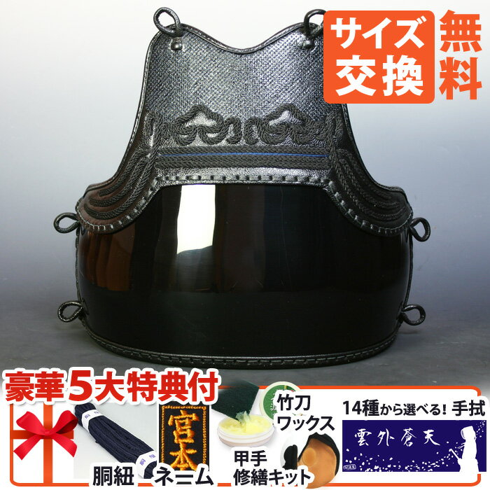 剣道 胴 単品 ●鬼雲鉄紺三本足 50本型 [D...の商品画像