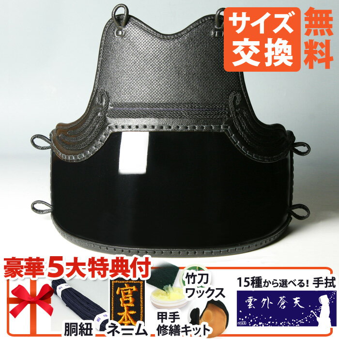 楽天市場】鮫(胴|防具):剣道<格闘技・武術<スポーツ 楽天市場】鮫(胴|防具):剣道<格闘技・武術<スポーツ