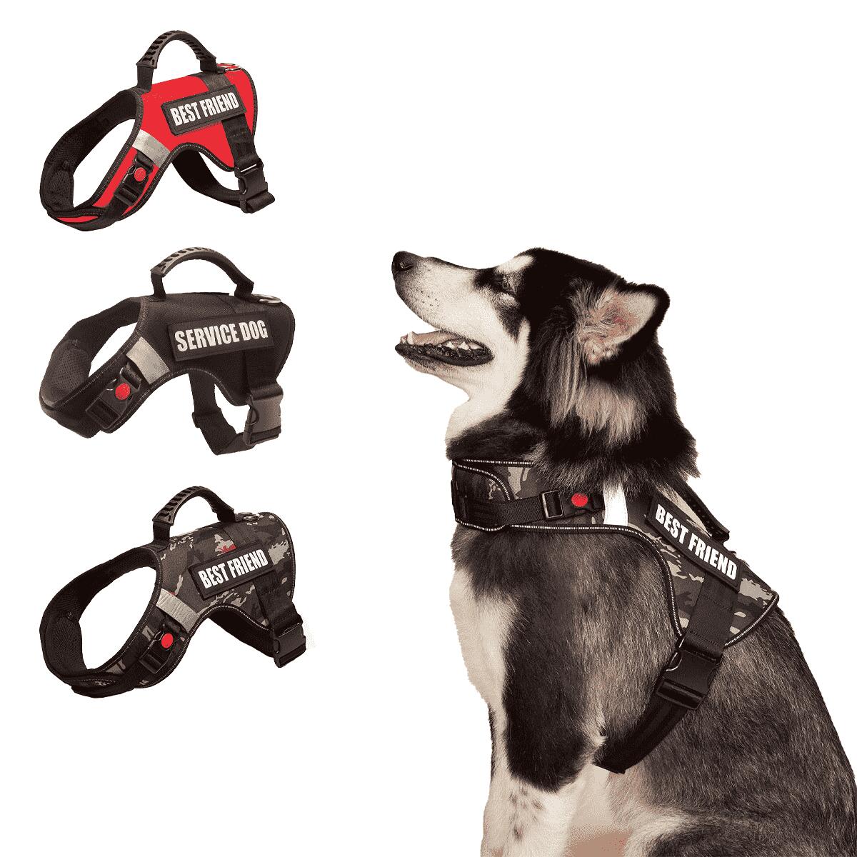 犬用ハーネス、中型犬 ハーネス、大型犬 ハーネス、犬用チェストストラップ、IDタグカスタム、引っ張り..