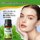 【2本セット】ミント精油、アロマ トリートメント オイル、ボディマッサージ、フェイスケア、ヘアケア、デイリーアロマ、マッサージ アロマ オイル、無添加無香料 1...