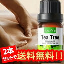 【2本セット】ティーツリー精油、アロマ トリートメント オイル、ボディマッサージ、フェイスケア、ヘアケア、デイリーアロマ、マッサージ アロマ オイル、無添加無香...