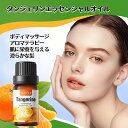 【2本セット】タンジェリン精油、アロマ トリートメント オイル、ボディマッサージ、フェイスケア、ヘアケア、デイリーアロマ、マッサージ アロマ オイル、無添加無香...