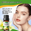 【2本セット】バニラ精油、アロマ トリートメント オイル、ボディマッサージ、フェイスケア、ヘアケア、デイリーアロマ、マッサージ アロマ オイル、無添加無香料 1...