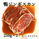 鴨ジン 合鴨のジンギスカン かねかん竹内 オリジナル 北海道 BBQ 味付きジンギスカン 合鴨モモ肉 味付きジンギスカン 250g×2 総量 500g【送料無料】