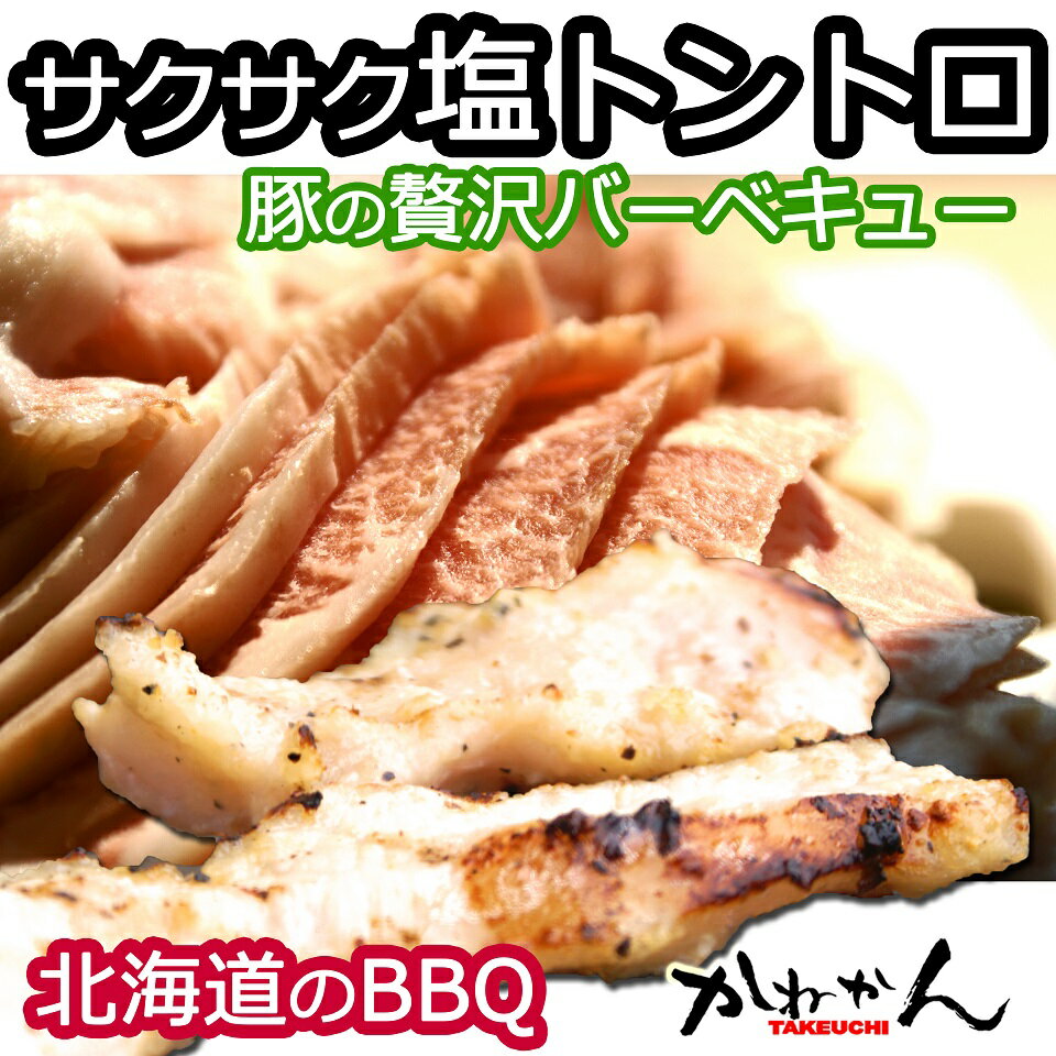 トントロ/しお味　300g