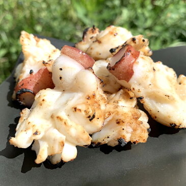 生タコ BBQ 用 北海道産 生 たこ 室蘭水族館名物 特産品 海鮮BBQ 皮むき生蛸 活タコ バーベキュー 仕様 塩味付き 200g×3パック 送料無料