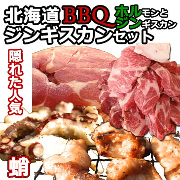 北海道 バーベキューセット ジンギスカン　お取り寄せグルメ【室蘭 ホルジン】【送料無料】