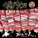●北海道産生バラ 焼き鳥 生串●〔道産バラ生串30本〕 ◆ナンバーワン 焼き鳥◆室蘭やきとり たれ付き 洋がらし付 30本 - かねかんTAKEUCHI
