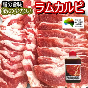 ラム肉 ジンギスカン 送料無料 たれ付 ジンギスカン セット BBQ セット 北海道 ギフト 新定番 スタンダード ジンギスカン ラムカルビ スライス 焼肉・BBQ 札幌風 味の付かないジンギスカン 脂の旨味 500g 人気自家製タレ付き セール品 父の日 お中元 内祝い 等 贈答 にも