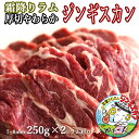 ラム肉 ジンギスカン 250g×2 ラム肩ロース 送料無料 贈答品 お祝い ギフト ラム肩ロース 羊肉 オリジナル 北海道 焼肉・BBQ 札幌風 味の付かない ジンギスカン 人気 キャンプ にも (味の付かない 肉 を 生ラム と呼んでいます) お歳暮 お中元 内祝い ギフト