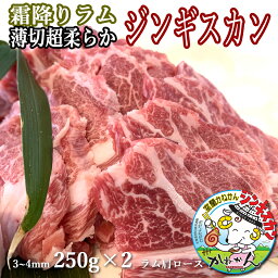 ラム肉 ジンギスカン 250g ×2 薄切りラム肩ロース 送料無料 贈答品 お祝い ギフト ラム肩ロース 羊肉 オリジナル 北海道 焼肉・BBQ 札幌風 味の付かない ジンギスカン 人気 キャンプ にも (味