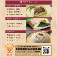 【お手軽!簡単調理で美味しい愛媛の真鯛・愛鯛】柚子香る愛鯛セット・麦みそ焼き3切+柚庵焼き3切+鯛めしの素2パック(冷凍)/f05マダイ鯛めし麦みそ焼き柚庵焼き鯛めし
