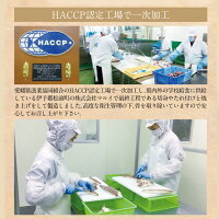 【お手軽!簡単調理で美味しい愛媛の真鯛・愛鯛】柚子香る愛鯛セット・麦みそ焼き3切+柚庵焼き3切+鯛めしの素2パック(冷凍)/f05マダイ鯛めし麦みそ焼き柚庵焼き鯛めし