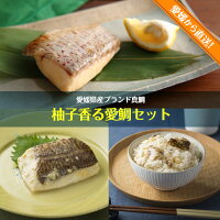 【お手軽!簡単調理で美味しい愛媛の真鯛・愛鯛】柚子香る愛鯛セット・麦みそ焼き3切+柚庵焼き3切+鯛めしの素2パック(冷凍)/f05マダイ鯛めし麦みそ焼き柚庵焼き鯛めし