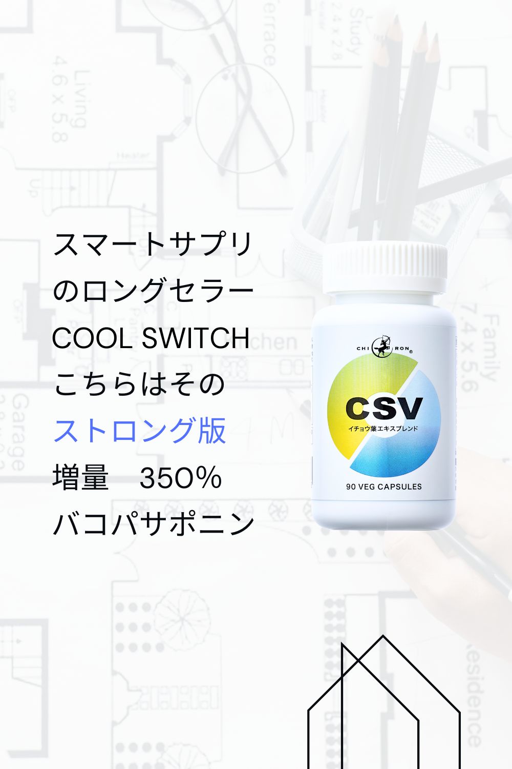 【記憶力 リラックス 集中力 やる気 セロトニン 冷静 医師監修 サプリ】キロン CSV　イチョウ葉 ホスファチジルセリン PS バコパ アメリカ人参 配合／ 不安 緊張 気分 前向き 頭の健康 ストレス メンタル 物忘れ 勉強 受験 バコパサポニン 総合健康力／90cap 45食分 国内製造 3