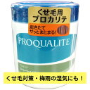 【店内ポイント6倍(要エントリ—)5/5限定】プロカリテ ストレートメイクパック ラージ 440gストレート くせ毛ケア まとまり 湿気をガード さ...