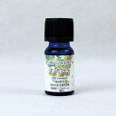 【店内ポイント6倍(要エントリ—)5/5限定】WJ-452/エッセンシャルオイルキンモクセイ金木犀 キンモクセイ 流行 香り アロマ フレグランス ...