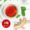 【5%OFFクーポン配布中◆7/26-27限定】【3個セット】しょうが林檎茶 無糖 インスタントジンジャーアップルティー からだも心も温まる生姜の紅茶 100g...