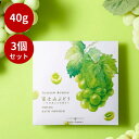 【3個セット】【季節限定】富士山ぶどう アロマバスパウダー 40g【入浴剤】【日本製】アロマ 富士 入浴 パウダー マスカット 山ぶどう 富士山 ぶどう マスカ...