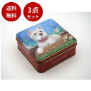 【GWセール★15%Pバック!5/8迄】【3点セット】【グランマワイルズ】スコティッシュドック缶 チョコチップビスケット(100g)ビスケット 可愛い 犬 缶 ...