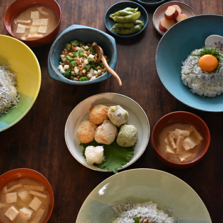 和食器 煮物 大鉢 鉢 ボウル おしゃれ モダン 広め 麺鉢 ラーメン鉢 スープボウル サラダボウル 青 ターコイズ ブルー 直径約24cm 育てる器 食器 陶器 器 引越し祝い 結婚祝い パーティー 「 ターコイズブルー ボウル wb-13」