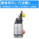 ツルミ 水中ハイスピンポンプ 40SQA2-2.25S 40mm 自動形 ステンレス製 耐食用 軽量 汚水 排水用 食品工場 薬品工業 単相100V 鶴見製作所...