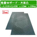 WPT 軽量Wボード 2枚組 4×8尺 1219×2438mm 厚さ13mm 片面凸 敷板 樹脂製 樹脂製敷板 樹脂敷板 ダブルボード 樹脂 プラスチック敷板 軽量 プラシキ コンパネ こうじばん プラ板 養生板 農業 林業 イベント 建設 土木 造園 軽い 片面滑り止め ウッドプラスチック