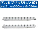 昭和ブリッジ アルミブリッジ 12.0t 2本セット SXN-300-30-12 建機 重機 農機 アルミ板 道板 ラダーレール 歩み板 ユンボ 油圧ショベル ...