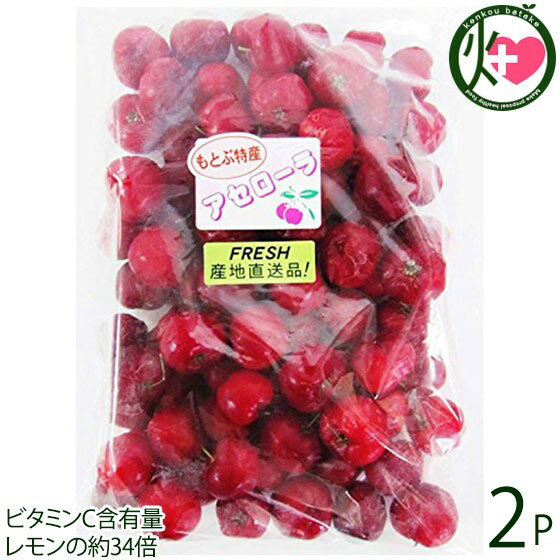 冷凍アセロラ果実 500g×2P アセローラフレッシュ ビタミンC含有量レモンの約34倍 南国フルーツ 沖縄県産