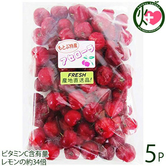 冷凍アセロラ果実 500g×5P 完熟したアセロラ果実を冷凍に ビタミンC含有量レモンの約34倍 南国フルーツ..