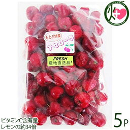 冷凍アセロラ果実 500g×5P 完熟したアセロラ果実を冷凍に ビタミンC含有量レモンの約34倍 南国フルーツ 沖縄 定番 人気 アセローラ