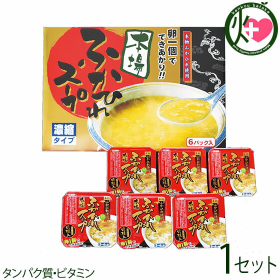 遠藤商店 気仙沼産ふかひれスープDセット 濃縮タイプふかひれスープ（貝柱入）250g×6個