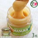 ハニーフュージョン マヌカハニー＆シークワーサー 50g×3瓶