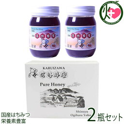 ギフト 荻原養蜂園 国産栗はちみつ 瓶入り 500g×2瓶 ギフト箱入 はちみつ 国産 純粋 蜂蜜 ハチミツ 長野 土産