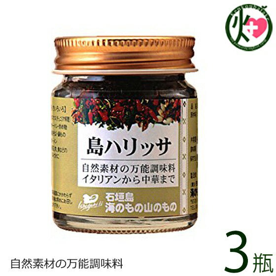 海のもの山のもの 島ハリッサ 40g×3瓶 沖縄 人気 土産 万能 調味料 唐辛子 ペースト 自然素材 調味料 送料無料