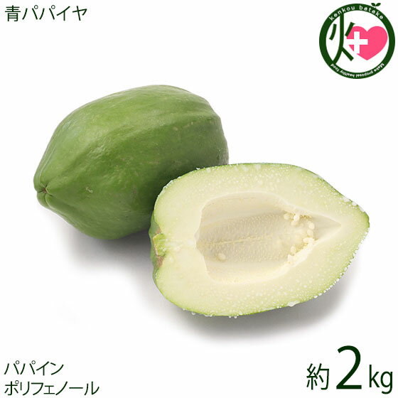 渡具知農園 青パパイヤ 2個（2kg未満）沖縄県産 自家農園栽培 無農薬 野菜 パパイン ポリフェノール ビタミンC