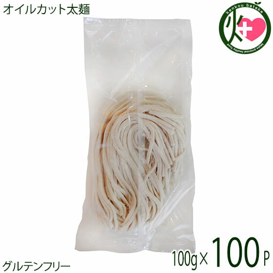 ダイユウ産業 グルテンフリー オイルカット太麺 100g×100袋 沖縄 土産 人気 米粉麺 ノンオイル お米のうどん 除去食 代替食