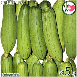 沖縄県産 へちま ナーベラー 5kg 沖縄 お取り寄せ 野菜 食用ヘチマ