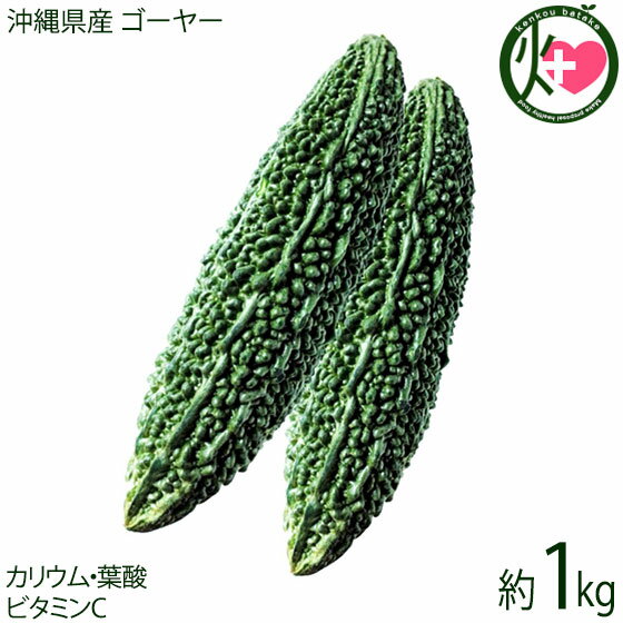 全国お取り寄せグルメ沖縄その他の野菜No.22