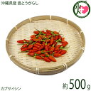 【名称】野菜 【内容量】約500g 【賞味期限】製造日より365日　※冷凍時 【原材料】沖縄県産島とうがらし 【保存方法】要冷凍−18度以下 【お召上がり方】1.泡盛に漬けると自家製コーレグースの出来あがりです。※焼酎で、代用可です。 2.醤油に漬けると自家製島とうがらし醤油の出来あがりです。 ※お酢やオリーブオイルでも試してください。 3.島とうがらしのペペロンチーノ 4.ピクルスに入れると味が、引き締まります 5.細かく刻んで、炒めて、みりんと味噌で島唐辛子味噌の出来上がり♪【販売者】株式会社オリーブガーデン（沖縄県国頭郡恩納村） メーカー名 琉宮青果 原産国名 日本 産地直送 沖縄県 商品説明 島とうがらしは、沖縄で昔から栽培されている唐辛子の一種で、沖縄料理のワンポイント調味料として重宝されています。私の体験ですが、以前沖縄そば屋さんで、丼に山盛りの生島とうがらしが、置いてあったので、他のお客さんの様子を見ていると割り箸で、しごいた後、沖縄そばに入れていましたので、真似をしたのですが、しごいたお箸で、そばを食べたもんだから、超激辛！沖縄そばの味が、全く分からなくなりました。皆さんお気を付け下さい。沖縄では古くから沖縄そば、さかな汁、お刺身、その他いろいろな調理に利用されています。最近では、沖縄以外の方にも知られるようになり、島唐辛子ファンが増え、辛いものが好きな方には、珍重されています。但し、そのままではかなり辛いので、なれない方は、充分気をつける必要があります。使い方には充分気をつけて調理にご利用ください。【栄養素】ビタミンE・ビタミンB6・カロテンなど宅急便：冷凍着日指定：×不可 ギフト：×不可 ※重要なお知らせ：※収穫・発送準備ができ次第出荷させていただきます。生育具合によりお時間がかかる場合もございます。必ず一度目の配達でお受け取りいただけるようお願いします。 不在の恐れがある場合は、送り状お問合せ番号を最寄りの営業所にご連絡の上、 在宅時間をお伝え下さいますようお願いいたします。 生鮮食品・青果は、商品特性上保管期間を過ぎると処分になる場合がございます。 保管期間中の品質については、保証できかねます。 ※産地直送品につき、出荷後商品の返品・交換はお受けできません。※生産者より産地直送のため、他商品と同梱できません。※納品書・領収書は同梱できません。　領収書発行は注文履歴ページから行えます。 こちらの商品は一部地域が配送不可となります。 配送不可 離島 ※「配送不可」地域へのご注文はキャンセルとなります。