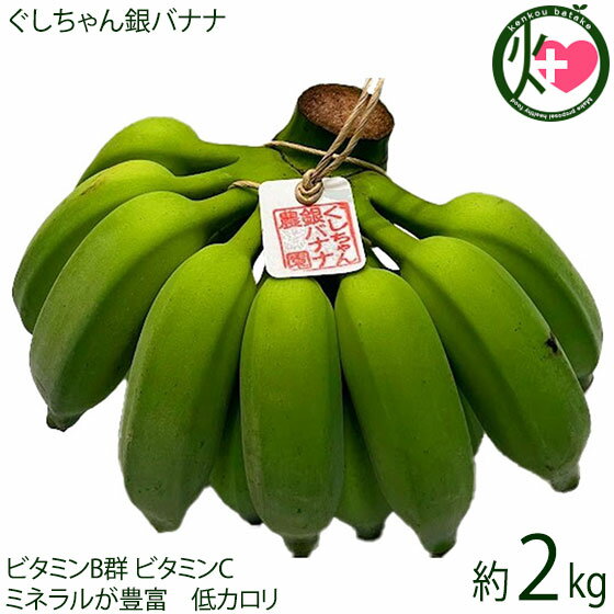 もっちり ぐしちゃん銀バナナ 約2kg 実20本前後 沖縄県八重瀬町産 有機栽培 無農薬