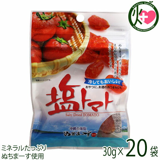 塩トマト 30g×20P 沖縄美健販売 ドライトマト ミネラル補給 リコピン 沖縄土産 沖縄 人気 1