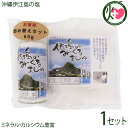 みーぐる工房 沖縄伊江島の塩 みーぐるましゅ 振り掛けタイプ 20g×1本 詰め替え 40g×1Pセット