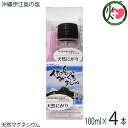 みーぐる工房 沖縄伊江島の塩 天然にがり 100ml×4本 天然マグネシウム 原液