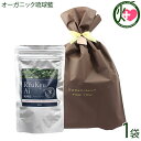 琉球藍 100g 箱無×1P ラッピング 天然染毛 白髪染め オーガニック 特許取得済 国産 沖縄 プチギフト 安心 安全