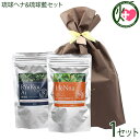 オーガニック琉球ヘナ 琉球藍 箱無100g×各1P ラッピング 白髪染め 染毛料 国産 沖縄 土産 沖縄土産 有機