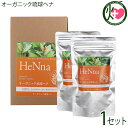 オーガニック琉球ヘナ 粉末 1箱+2P スターターキット付セット 白髪染め 染毛料 国産 沖縄 土産 沖縄土産 有機