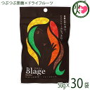 琉球黒糖 Blage つぶつぶ黒糖×ドライフルーツ 50g×30袋 沖縄 人気 定番 土産 黒糖菓子 ヨーグルトや紅茶に