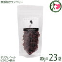 おきなわ薬膳美人 無添加 クランベリー 80g×23P アメリカ産 ドライクランベリー