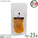 【名称】乾燥果実 【内容量】70g×23P 【賞味期限】製造日より　4ヶ月 【原材料】マンゴー(タイ産)、砂糖、マンゴー果汁、クエン酸、酸化防止剤(亜硫酸塩) ※果物のもつ糖分が結晶化し、表面に白い粉のようなものが浮き出る場合がございますが、品質には問題ございません。 【保存方法】直射日光、高温多湿をおさけください。 開封後はチャックをきちんと閉めお早めにお召し上がりください。※冷蔵保存推奨 【お召上がり方】そのままお召上がり頂けるほか。カットしたソフトマンゴーアイスクリームのトッピングや冷蔵庫で、ヨーグルトに漬け置きしても美味しくお召し上がり頂けます。ブレンダーを使えば、マンゴーラッシーに。パウンドケーキやシフォンマンゴーなどにも。【栄養成分表示】100gあたり　エネルギー 365kcal　たんぱく質 2.0g　脂質 0.0g　炭水化物 90.0g　食塩相当量 0.2g　この表示値は、目安です。【販売者】株式会社オリーブガーデン（沖縄県国頭郡恩納村） メーカー名 おきなわ薬膳美人 原産国名 タイ産 産地直送 沖縄県 商品説明 トロピカルフルーツの代表格で世界三大果実のマンゴーは、β-カロテンやビタミンA・C・E、葉酸、リン、カロテン、食物繊維、カリウム、鉄分などが豊富で注目されている果物の一つです。ノンコレステロールで、脂肪分0も嬉しい。芳醇な香りが漂う熟したものをそのまま生で食べても美味しいマンゴーですが、着色料や香料不使用のソフトマンゴーに仕上げました。タイ産ソフトマンゴーはタイマンゴーの持つ、甘みの強さ・果肉の厚みを特徴として備えつつ、フィリピンマンゴーの柔らかい半生な食感が特徴です。 安全上のお知らせ ※当サイトの商品情報は、お客様が商品を選ぶ際に参考にしていただくためのものであり、医師や薬剤師およびその他の資格をもった専門家の意見に代わるものではありません。※ご使用前には必ずお届けの商品ラベルや注意書きをご確認ください。※この商品情報は病気を治すための自己診断に使うことはできません。※アレルギー体質の方や妊婦の方などは、かかりつけの医師にご相談のうえご購入ください。宅急便：常温着日指定：〇可能 ギフト：×不可 ※生産者より産地直送のため、他商品と同梱できません。※納品書・領収書は同梱できません。　領収書発行は注文履歴ページから行えます。 こちらの商品は全国送料無料です